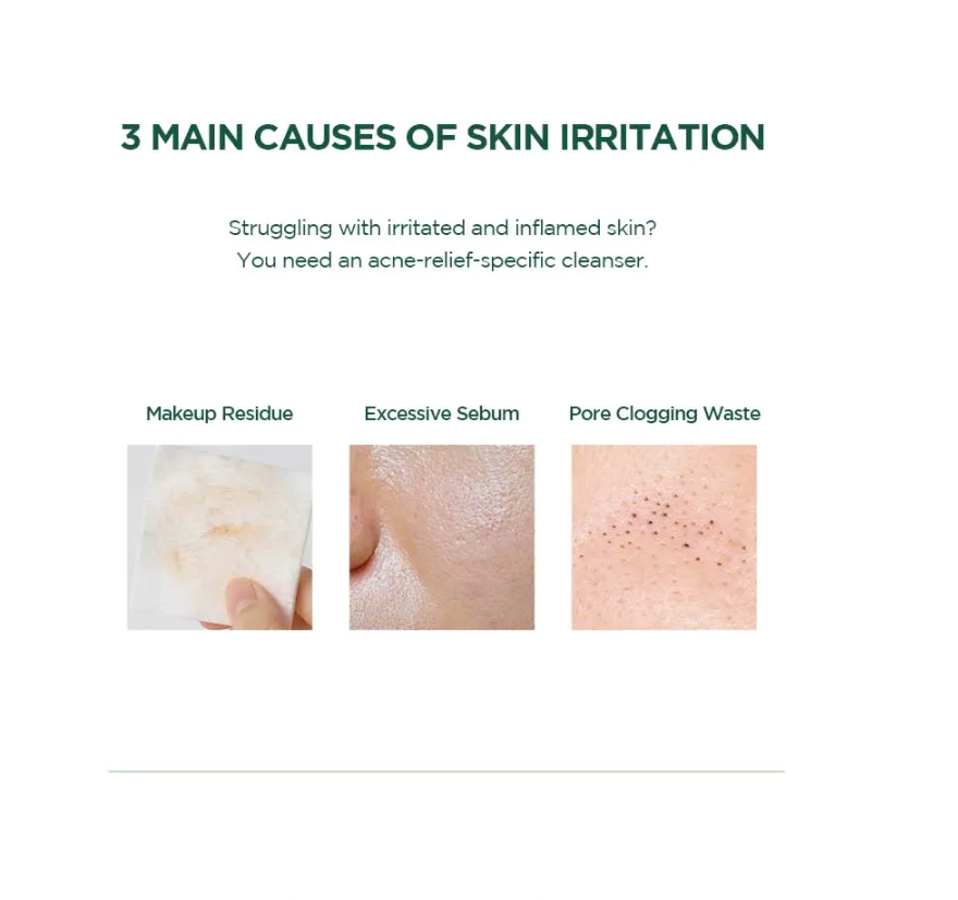 SKIN1004 Tea-Trica BHA Foam