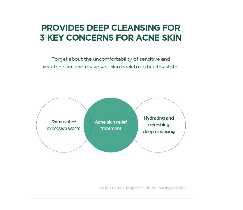SKIN1004 Tea-Trica BHA Foam