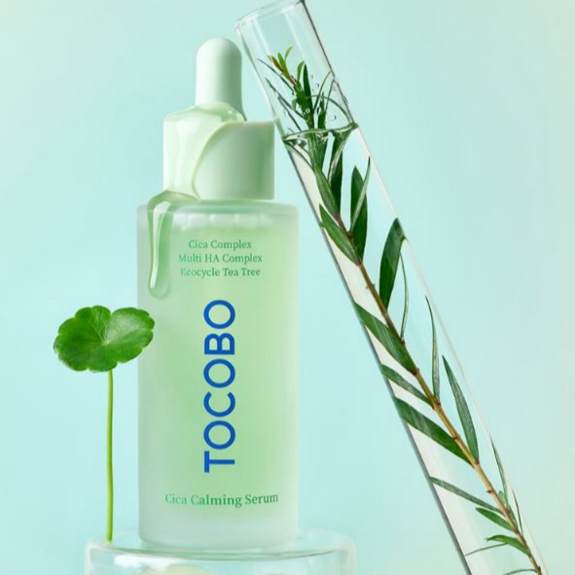 TOCOBO Cica Complex Multi HA Complex Ecocycle Tea
